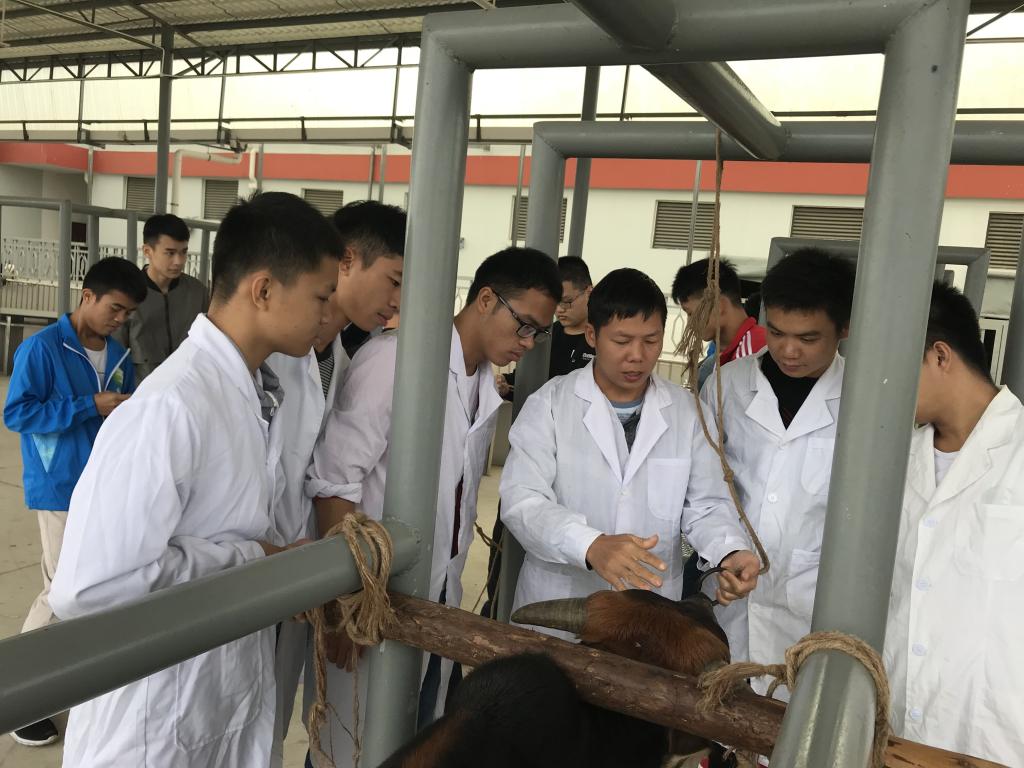 學畜牧技術(shù)，走致富之路——畜牧漁業(yè)飼料銷售的關(guān)鍵策略