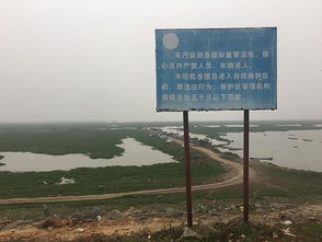 洞庭湖污染治理面臨嚴峻挑戰 中央環保督查下達緊急整改令